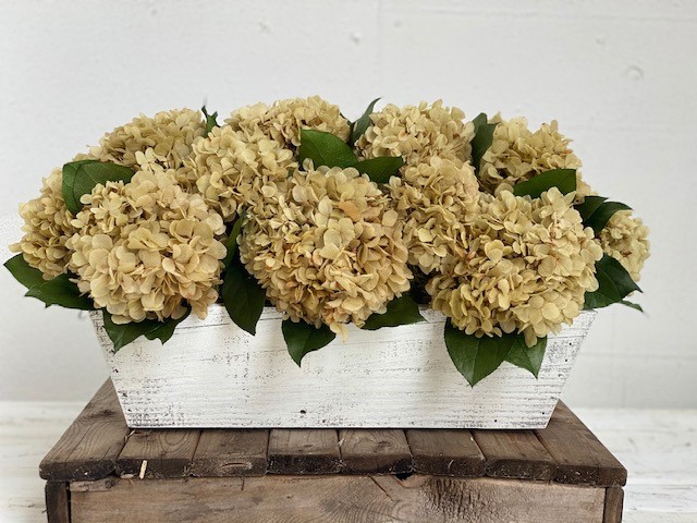 HYDRANGEA ARRANGEMENTS